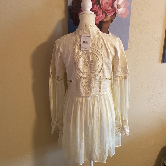 Free People In Dreamland Cutwork Mini Dress - Picture 8 of 13